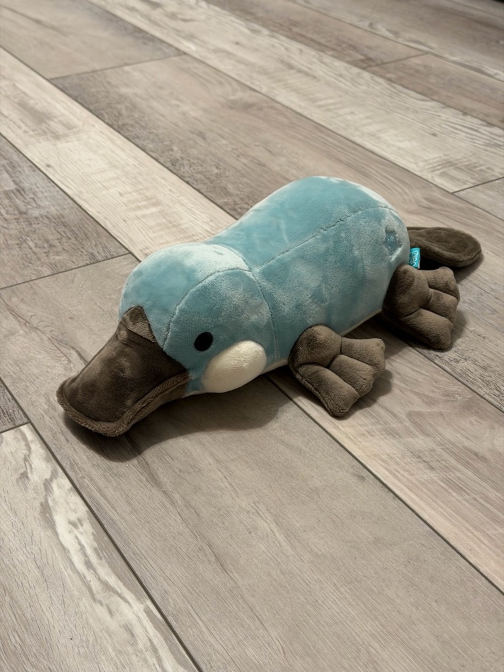 Bellzi Plati The Platypus medium sized (17”x8.5”x5”)